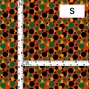 Flamenco Fabric / Dots / JKF-011-ORGR