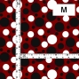 Flamenco Fabric / Dots / JKF-011-RD