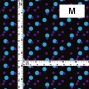 Flamenco Fabric / Dots / JKF-027-BK