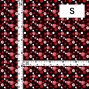 Flamenco Fabric / Rose&Dots / JKF-029-BK