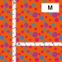 Flamenco Fabric / Rose&Dots / JKF-029-OR