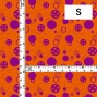 Flamenco Fabric / Dots / JKF-031-OR