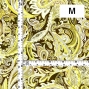 Flamenco Fabric / Paisley / JKF-037-YE