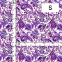 Flamenco Fabric / Paisley / JKF-063-PU