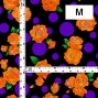Flamenco Fabric / Rose&Dots / JKF-069-BKOR