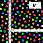 Flamenco Fabric / Dots / JKF-073-BK