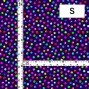Flamenco Fabric / Dots / JKF-073-NV