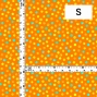 Flamenco Fabric / Dots / JKF-073-OR
