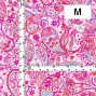 Flamenco Fabric / Paisley / JKF-081-PI