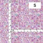 Flamenco Fabric / Paisley / JKF-081-PIPU