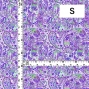 Flamenco Fabric / Paisley / JKF-081-PU