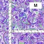 Flamenco Fabric / Paisley / JKF-081-PU