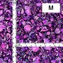 Flamenco Fabric / Butterfly Paisley / JKF-085-PU