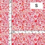 Flamenco Fabric / Butterfly Paisley / JKF-085-WHPI
