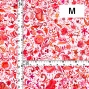 Flamenco Fabric / Butterfly Paisley / JKF-085-WHPI
