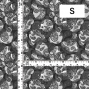 Flamenco Fabric / Paisley&Dots / JKF-093-BK