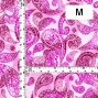 Flamenco Fabric / Paisley&Dots / JKF-093-PI