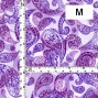 Flamenco Fabric / Paisley&Dots / JKF-093-PU