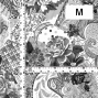 Flamenco Fabric / Patchwork Style / JKF-101-GY