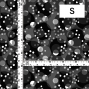 Flamenco Fabric / Dots / JKF-103-BK