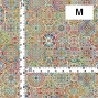 Flamenco Fabric / Arabesque / JKF-171-BRRD