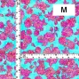 Flamenco Fabric / Rose / JKF-183-LBL