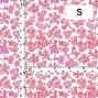 Flamenco Fabric / Rose / JKF-183-WH