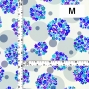 Flamenco Fabric / Floral &Dots / JKF-185-BLWH