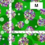 Flamenco Fabric / Floral &Dots / JKF-185-GR
