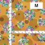 Flamenco Fabric / Floral & Dots / JKF-185-OR