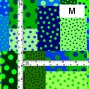 Flamenco Fabric / Dots & Patchwork Style / JKF-195-GRBL