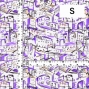 Flamenco Fabric / Townscape Pattern / JKF-197-PU