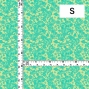 Flamenco Fabric / Lace Print / JKF-700-BETBL