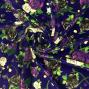 Flamenco Fabric / Rose / JKF-009-PU