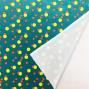 Flamenco Fabric / Dots / JKF-027-GR