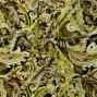 Flamenco Fabric / Paisley / JKF-037-YE