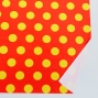 Flamenco Fabric / Dots / Orange / JKF-045