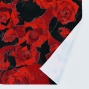 Flamenco Fabric / Rose / JKF-065-RDBK