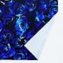 Flamenco Fabric / Rose / JKF-067-BL