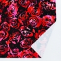 Flamenco Fabric / Rose / JKF-067-RD