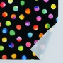 Flamenco Fabric / Dots / JKF-073-BK