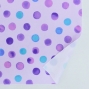 Flamenco Fabric / Dots / JKF-073-LV