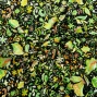 Flamenco Fabric / Butterfly Paisley / JKF-085-GR