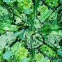 Flamenco Fabric / Patchwork Style / JKF-101-GR