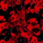 Flamenco Fabric / Dots / JKF-103-BKRD